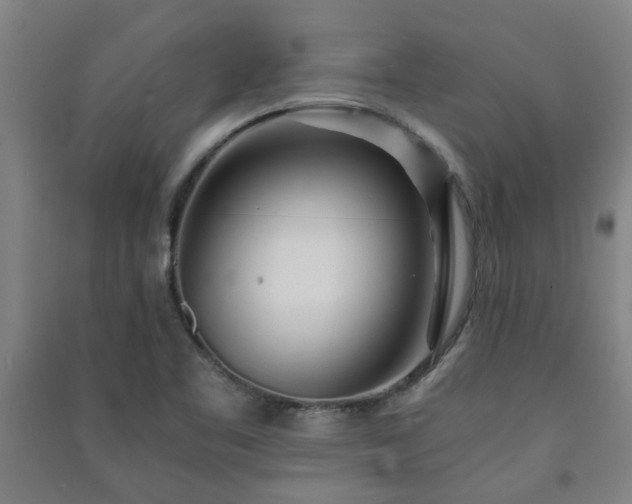 X0000091221461200708161646