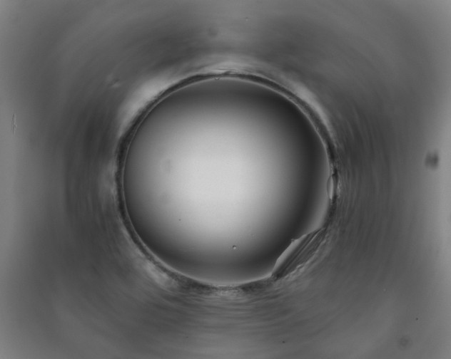 X0000091221464200708161646