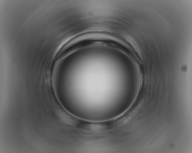 X0000091221465200708161646