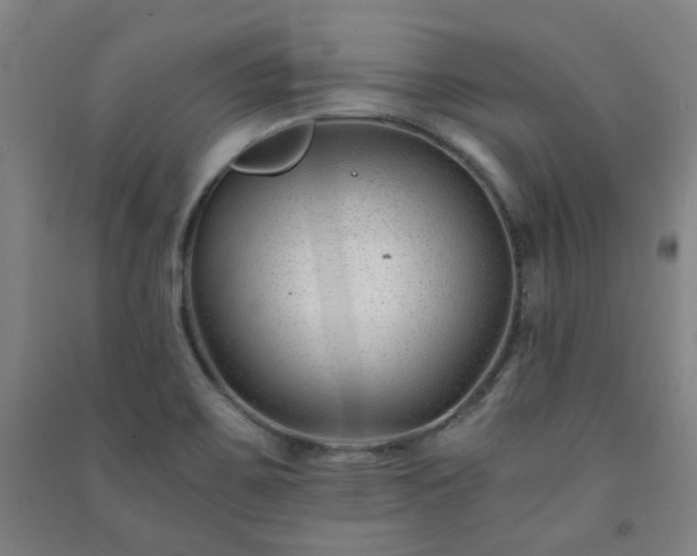 X0000091221467200708161646