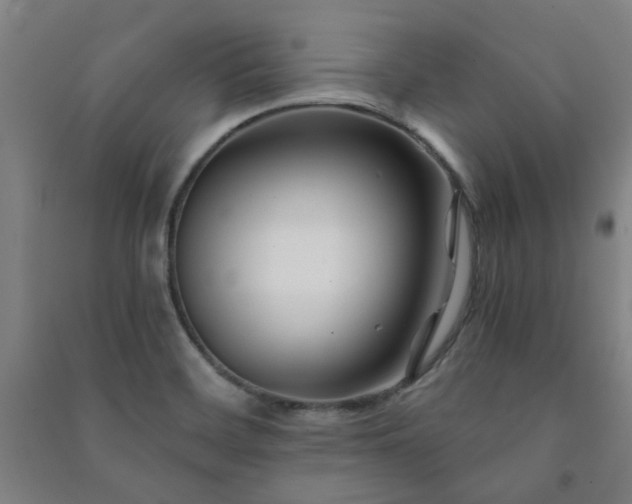 X0000091221468200708161646