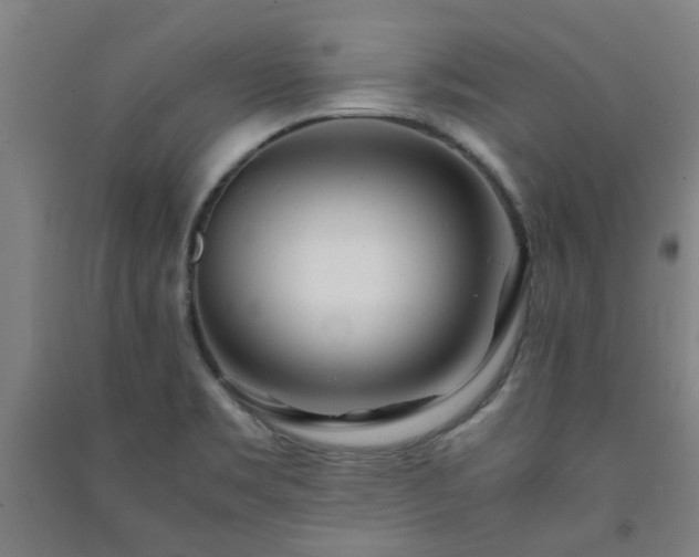 X0000091221469200708161646