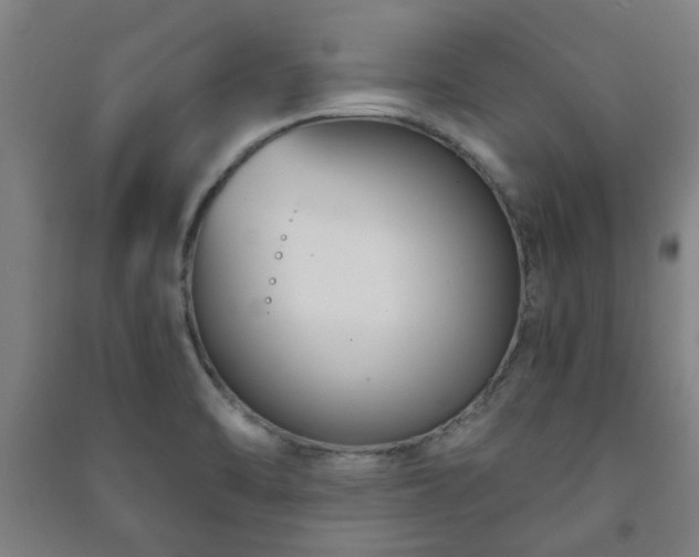 X0000091221470200708161646