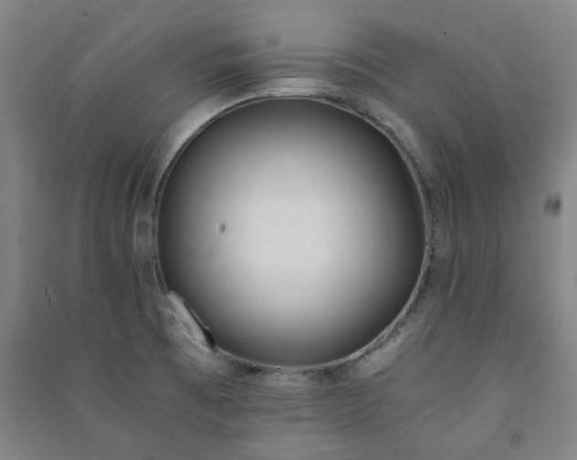 X0000091221473200708161646