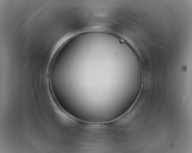 X0000091221474200708161646