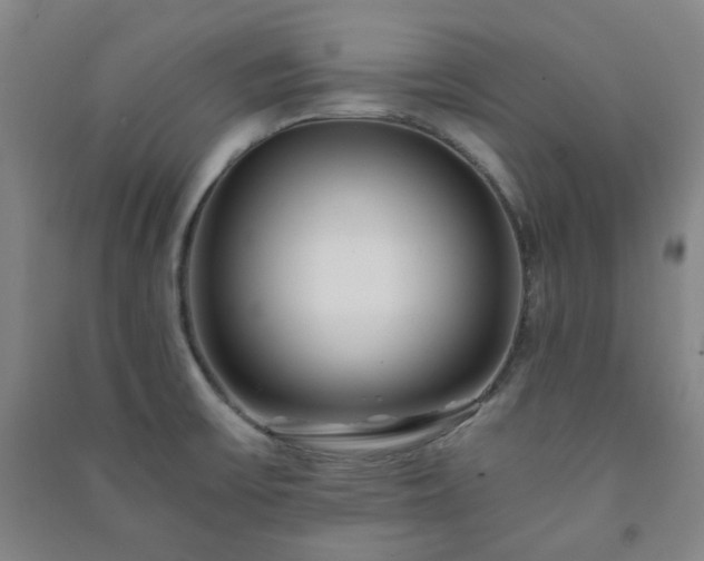 X0000091221475200708161646