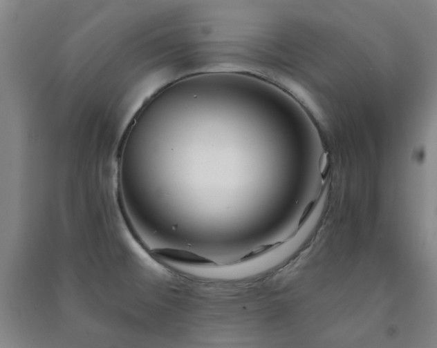 X0000091221476200708161646