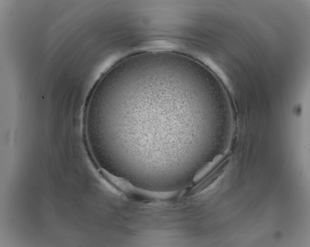 X0000091221477200708161646