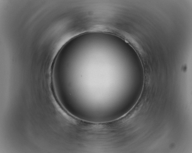 X0000091221479200708161646