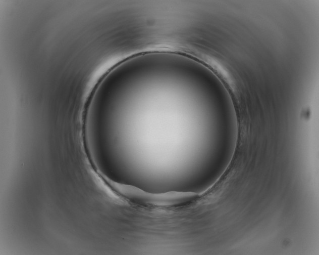 X0000091221480200708161646