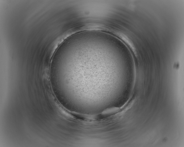 X0000091221481200708161646