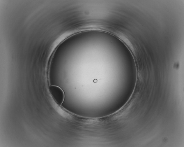 X0000091221482200708161646