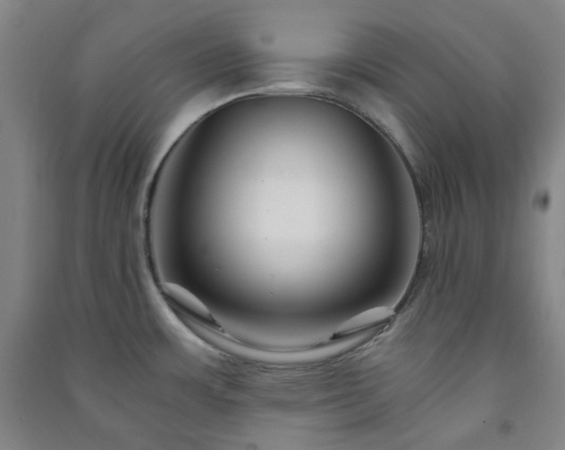 X0000091221483200708161646