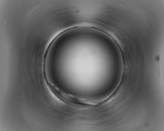 X0000091221484200708161646