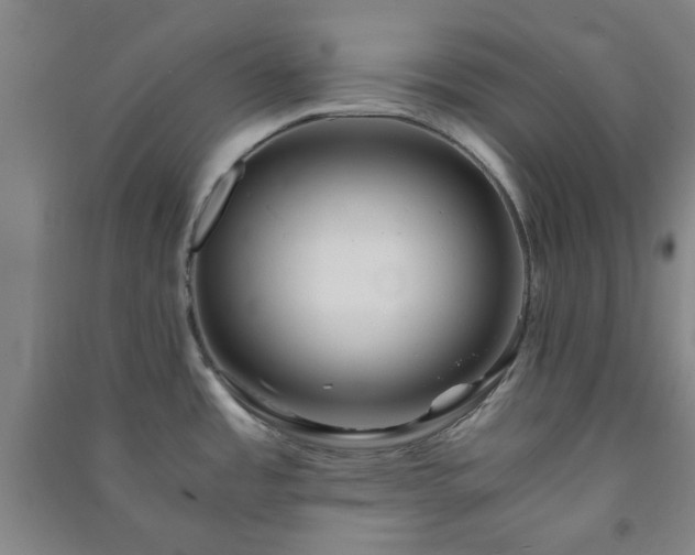 X0000091221485200708161646