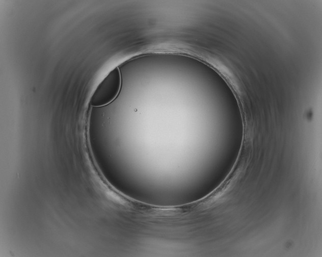 X0000091221486200708161646