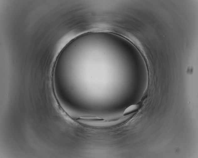 X0000091221488200708161646