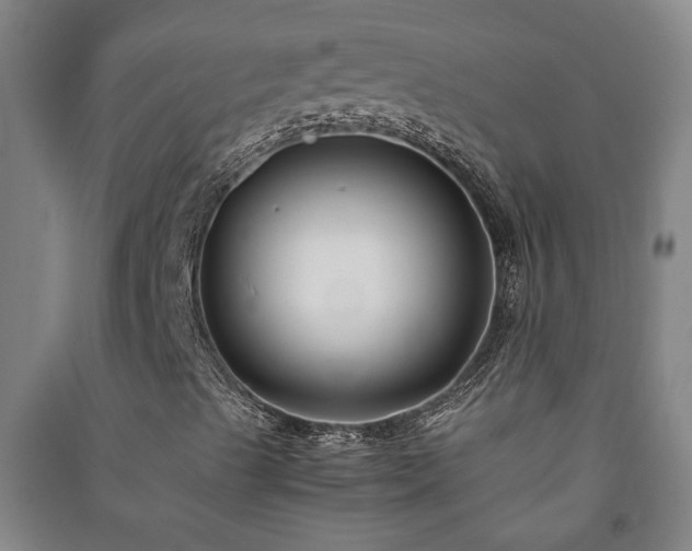 X0000091221489200708161645