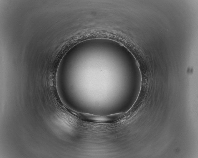 X0000091221490200708161645