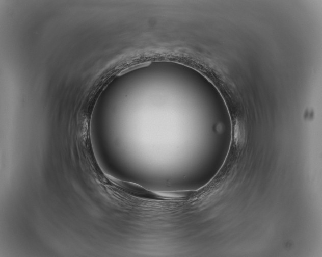 X0000091221492200708161645