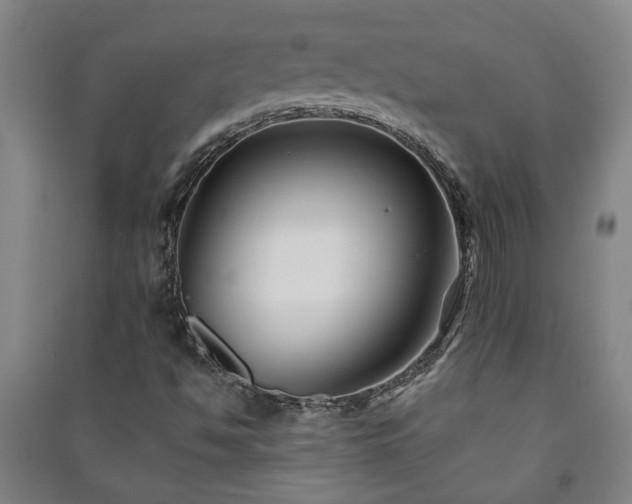 X0000091221494200708161645