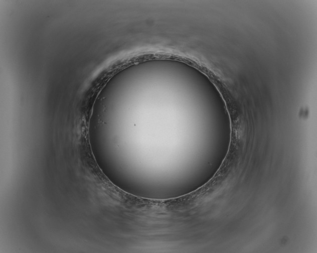 X0000091221495200708161645