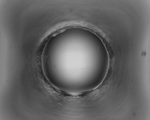 X0000091221496200708161645