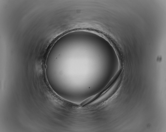 X0000091221497200708161645