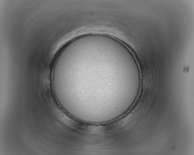 X0000091221498200708161645