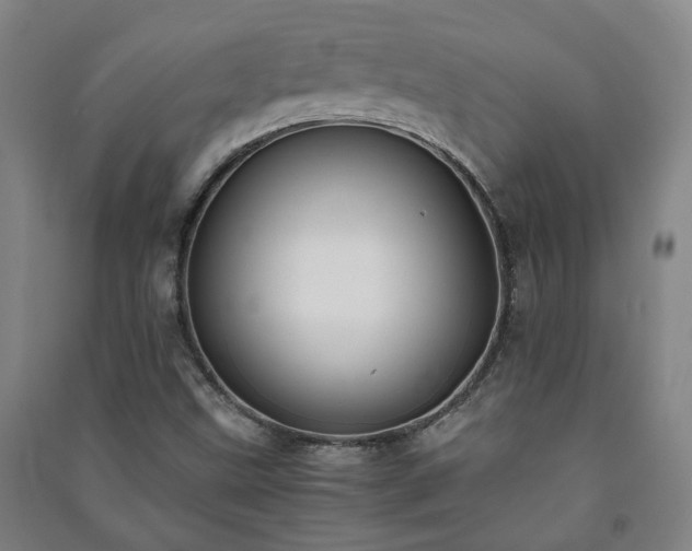 X0000091221499200708161645