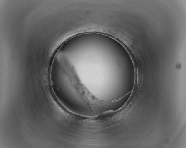 X0000091221500200708161645