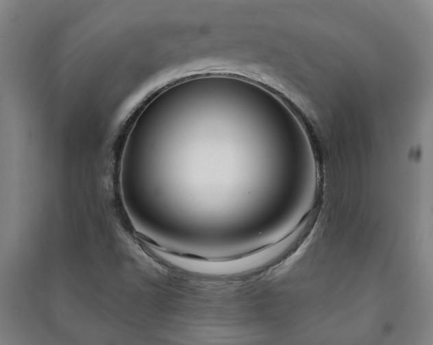 X0000091221502200708161645