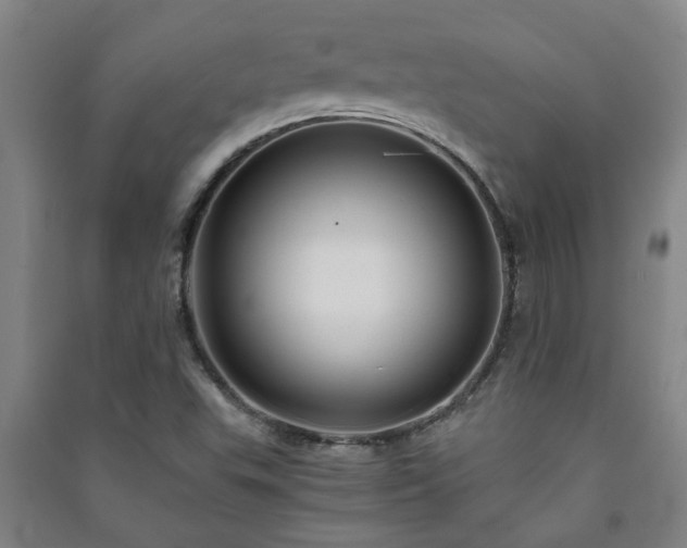 X0000091221503200708161645