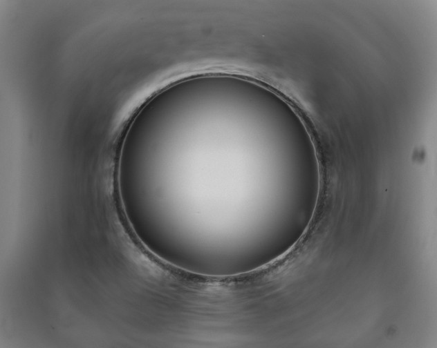 X0000091221504200708161645