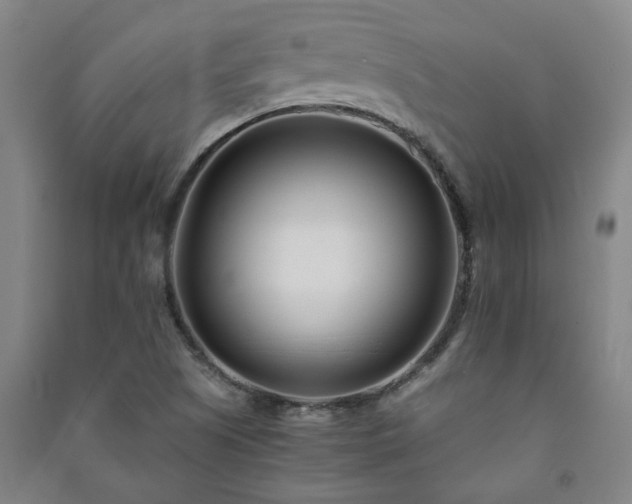 X0000091221505200708161646