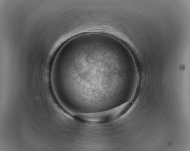 X0000091221506200708161646