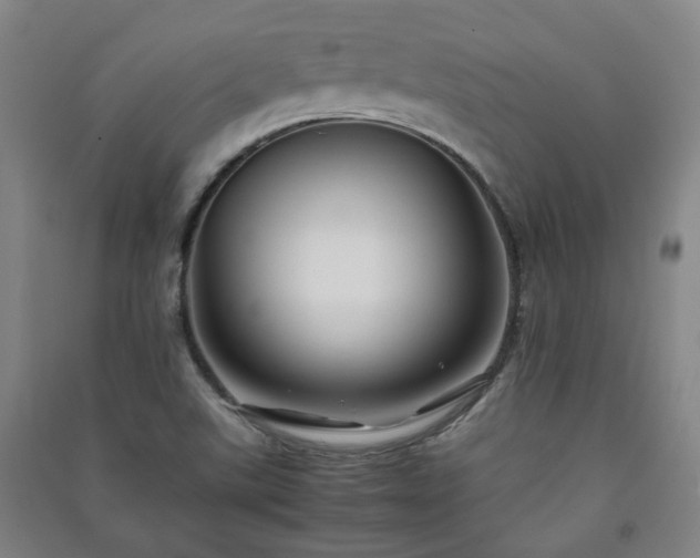 X0000091221507200708161646