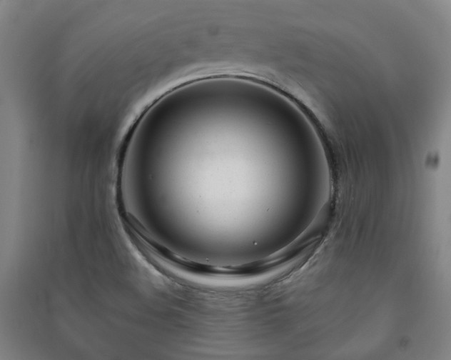 X0000091221508200708161646