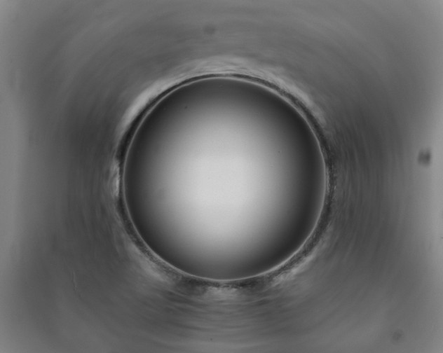 X0000091221509200708161646