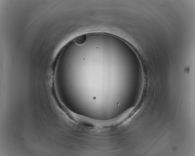 X0000091221510200708161646