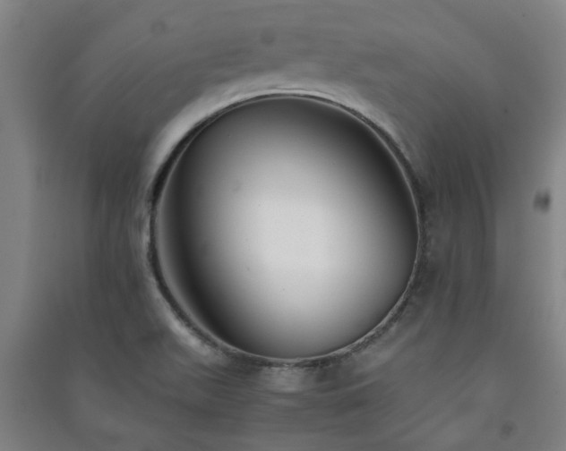 X0000091221511200708161646