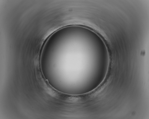 X0000091221513200708161646