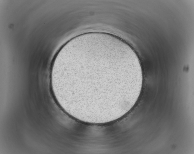 X0000091221514200708161646