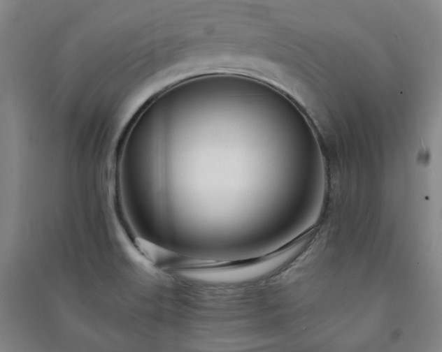 X0000091221515200708161646