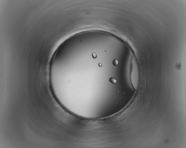 X0000091221516200708161646