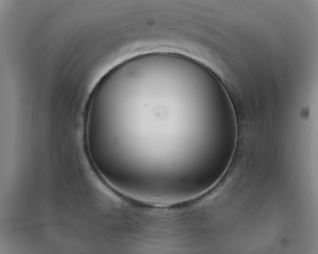 X0000091221518200708161646