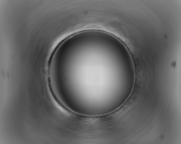 X0000091221519200708161646