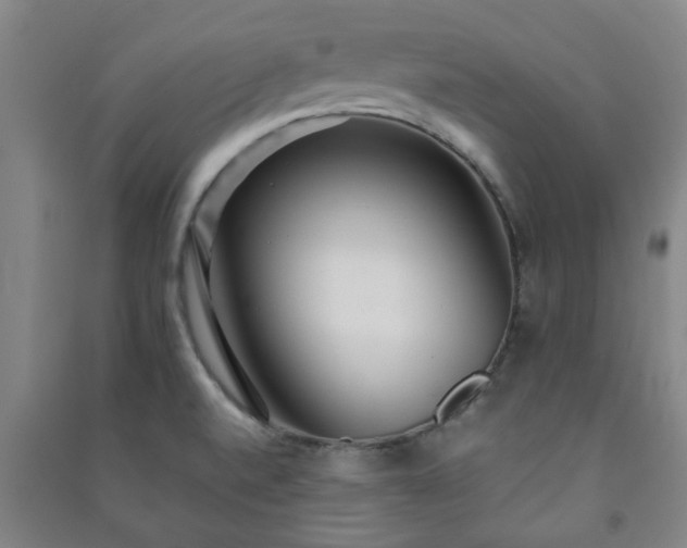 X0000091221520200708161646