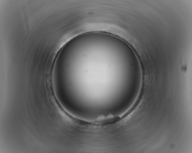 X0000091221521200708161646