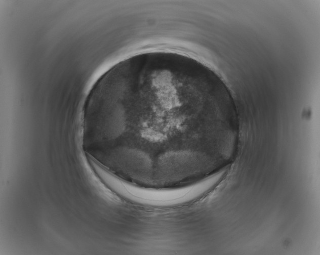 X0000091221522200708161646